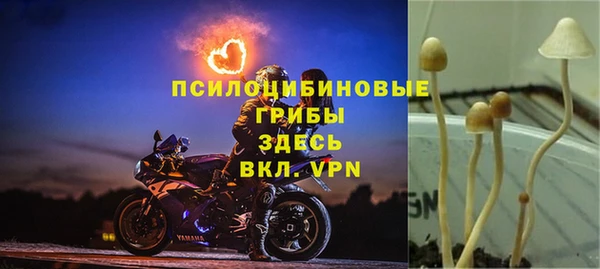 стафф Бронницы