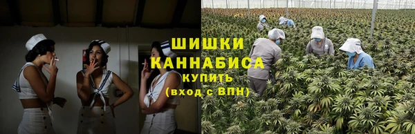стафф Бронницы