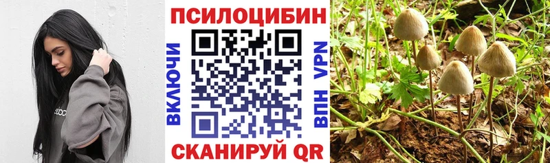 Галлюциногенные грибы прущие грибы  Городец 
